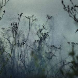 Fotokursus: Filter, fordybelse & fantasi