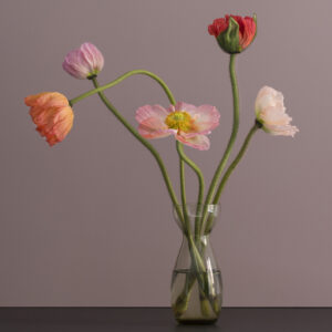 Foto workshop: Sådan fotograferer du en buket blomster, med din smartphone