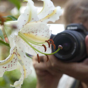 Foto undervisning 1:1 i din virksomhed